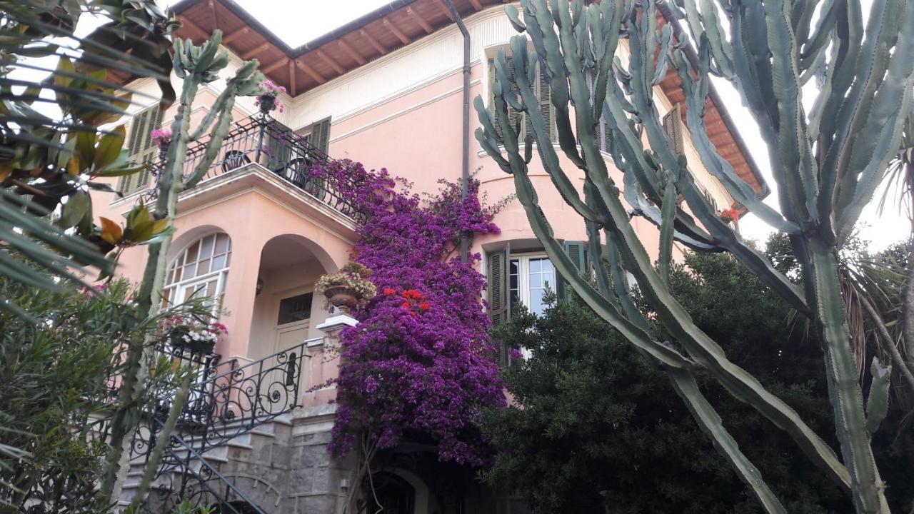 Hotel La Scogliera 博尔迪盖拉 外观 照片