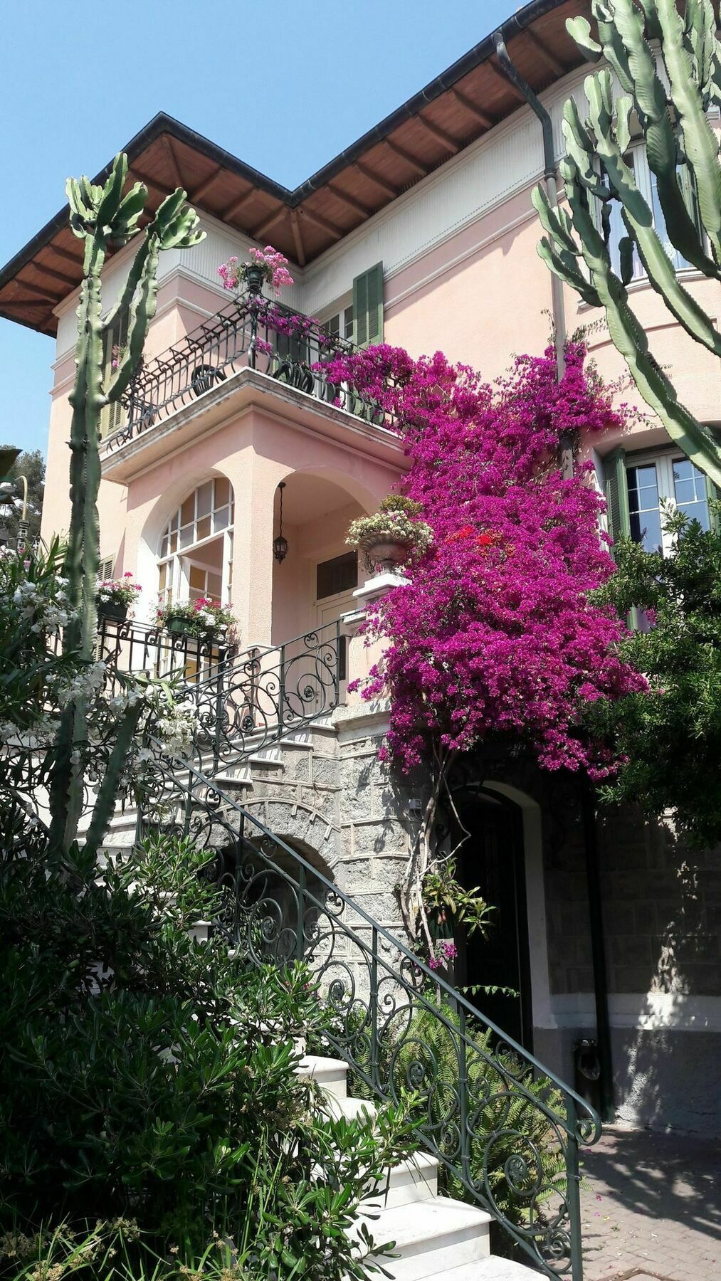 Hotel La Scogliera 博尔迪盖拉 外观 照片